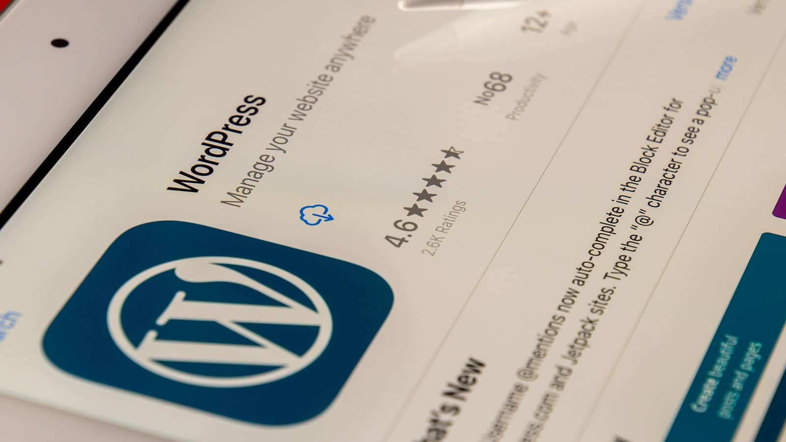 Getting Started with WordPress Development